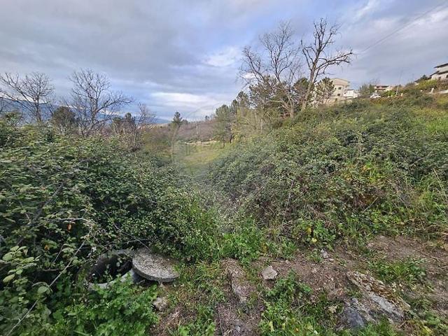 Terreno venda em Belmonte