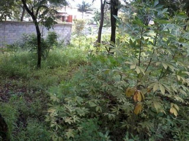 Terreno venda em Enseada das Garças, Belo Horizonte