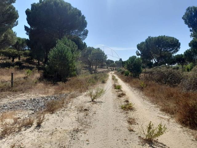 Terreno venda em Herdade do Zambujeiro, Benavente