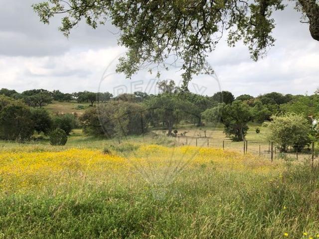 Terreno venda em Benavente, Santarém