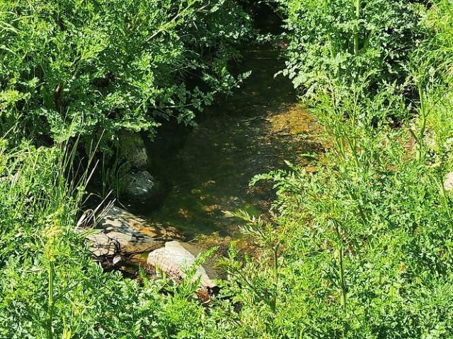 Terreno venda em Benquerença, Penamacor