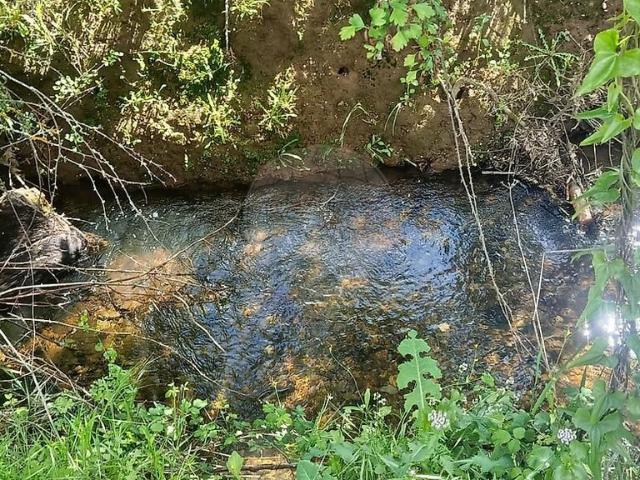 Terreno venda em Benquerença, Penamacor