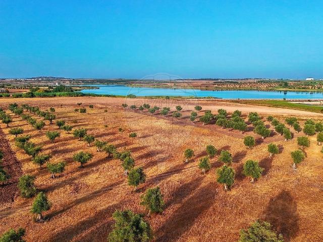 Terreno venda em Peroguarda, Ferreira do Alentejo