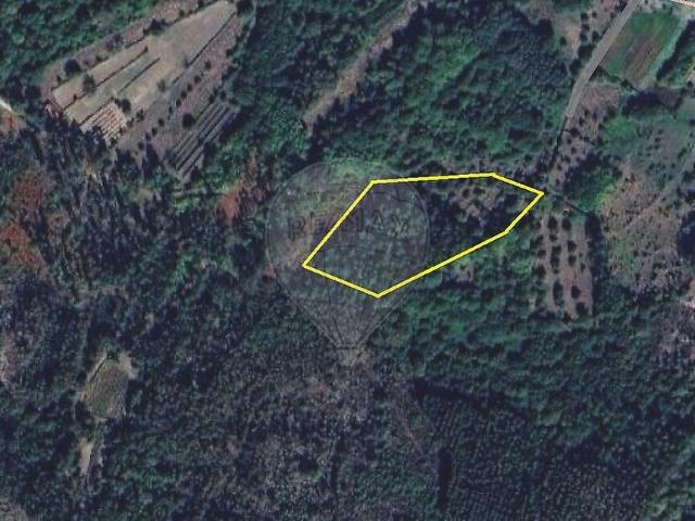 Terreno venda em Boa Aldeia, Farminhão e Torredeita, Viseu