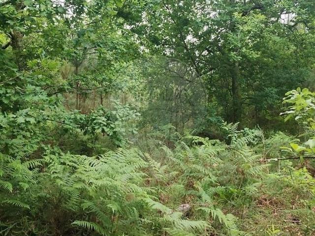 Terreno venda em Boa Aldeia, Farminhão e Torredeita, Viseu