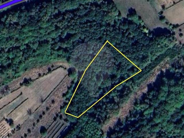 Terreno venda em Boa Aldeia, Farminhão e Torredeita, Viseu