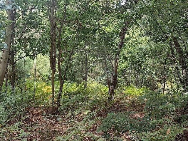 Terreno venda em Boa Aldeia, Farminhão e Torredeita, Viseu