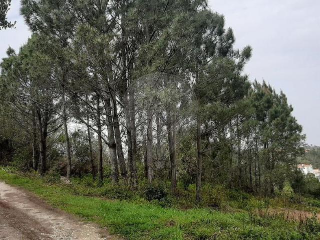 Terreno venda em Vale do Inferno, Mafra