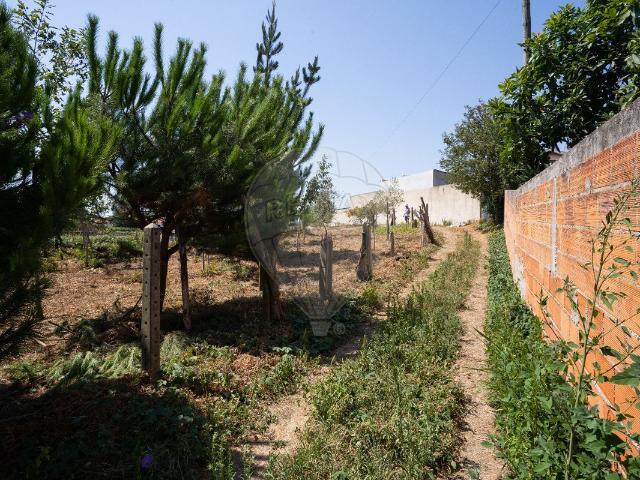 Terreno venda em Ponte De Vagos, Aveiro