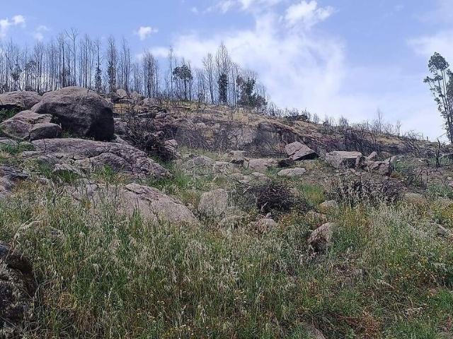 Terreno venda em Boelhe, Penafiel