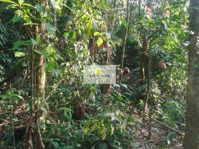 Terreno venda em Região Imediata de Caraguatatuba-Ubatuba-São Sebastião, Região Metropolitana do Vale do Paraíba e Litoral Norte