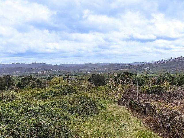 Terreno venda em Vale Formoso e Aldeia do Souto, Covilhã