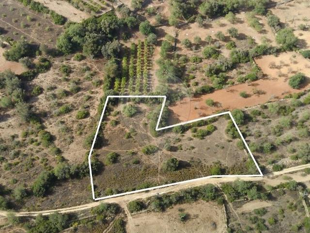Terreno venda em Boliqueime, Loulé