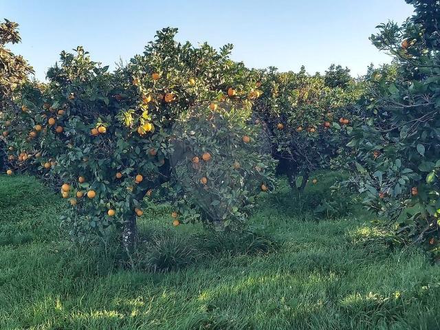 Terreno venda em Salir, Loulé