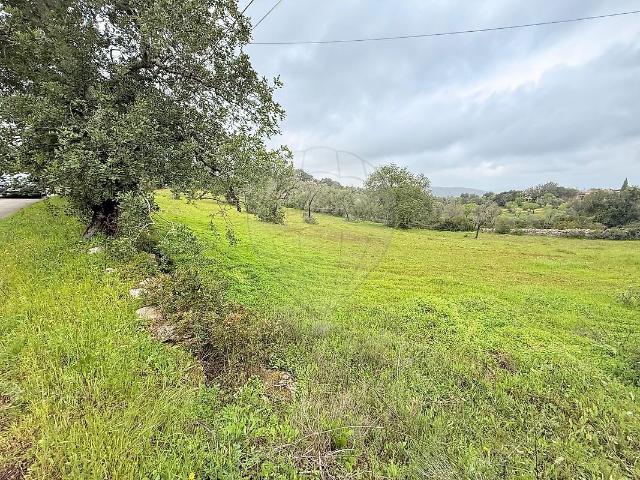 Terreno venda em Boliqueime, Loulé