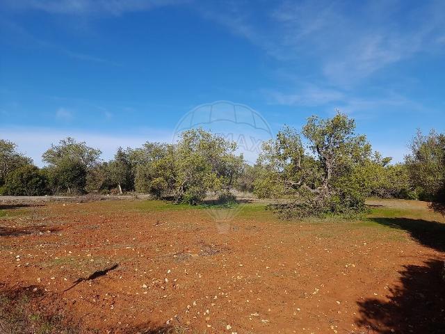 Terreno venda em Boliqueime, Loulé