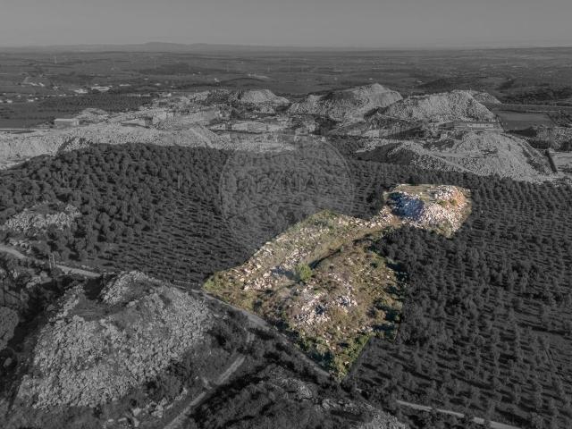Terreno venda em Borba (Matriz), Borba