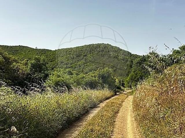 Terreno venda em Cerro do Monte, Aljezur