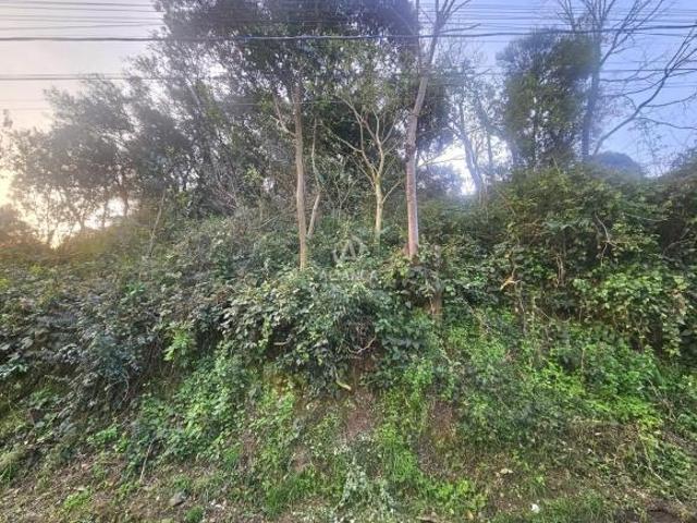 Terreno venda em Região Geográfica Imediata de Bento Gonçalves, Bento Gonçalves