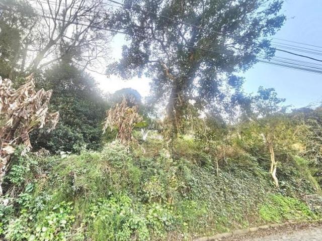 Terreno venda em Região Geográfica Imediata de Bento Gonçalves, Bento Gonçalves