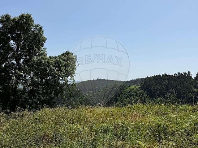 Terreno venda em Bouro (Santa Maria), Amares
