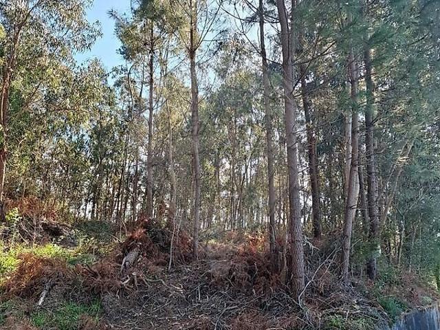Terreno venda em Roussio, Amares