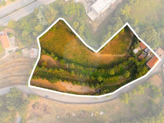 Terreno venda em Este (São Pedro e São Mamede), Braga