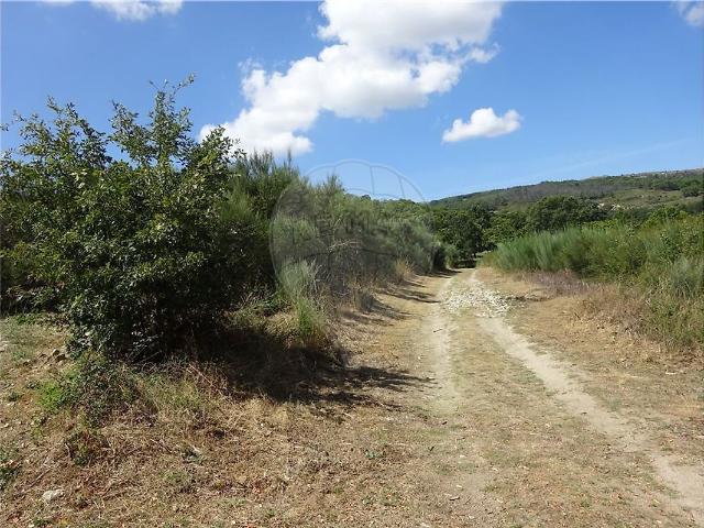 Terreno venda em Bragança