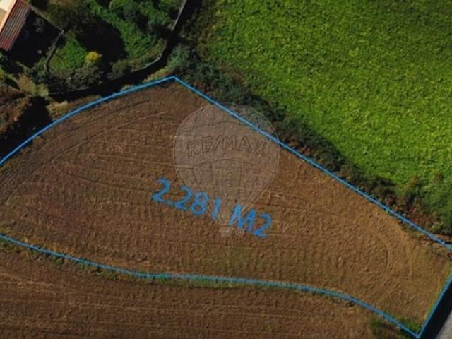 Terreno venda em Branca, Albergaria-a-Velha