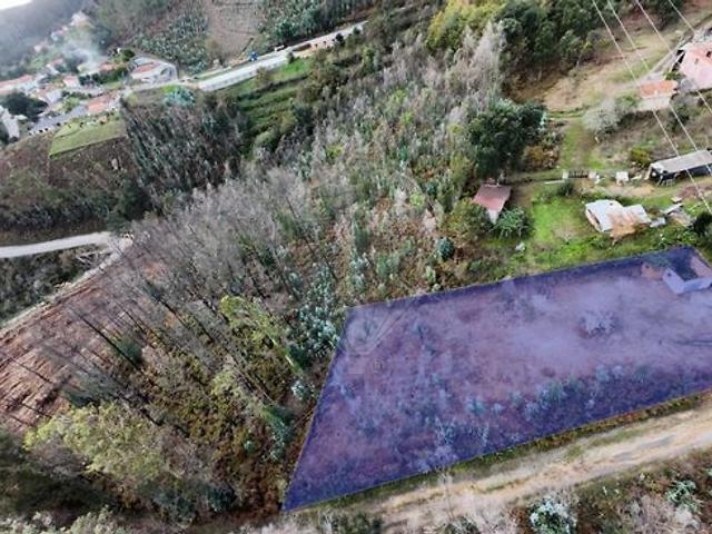 Terreno venda em Branca, Albergaria-a-Velha
