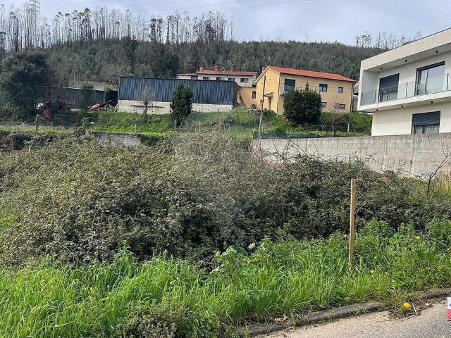 Terreno venda em Branca, Albergaria-a-Velha