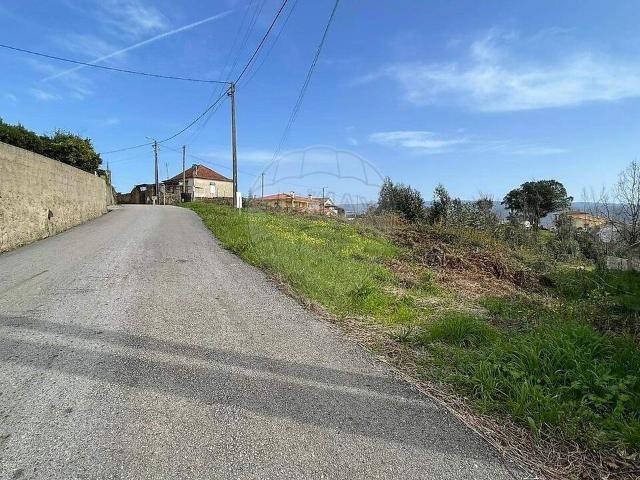 Terreno venda em Branca, Albergaria-a-Velha