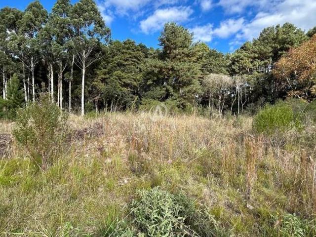 Terreno venda em Região Geográfica Imediata de Bento Gonçalves, Garibaldi