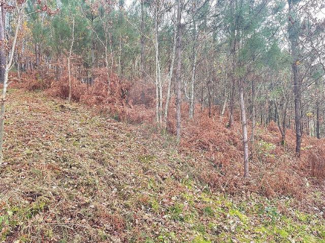 Terreno venda em Bravães, Ponte da Barca