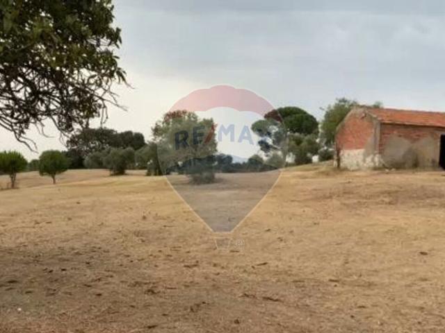 Terreno venda em Casal Cepo, Torres Novas