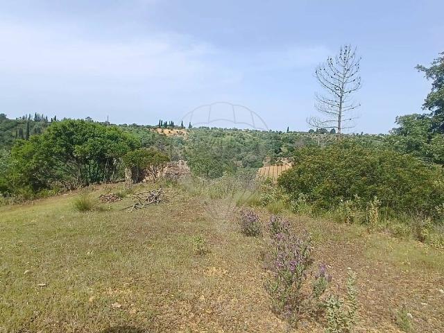 Terreno venda em Brogueira, Parceiros de Igreja e Alcorochel, Torres Novas