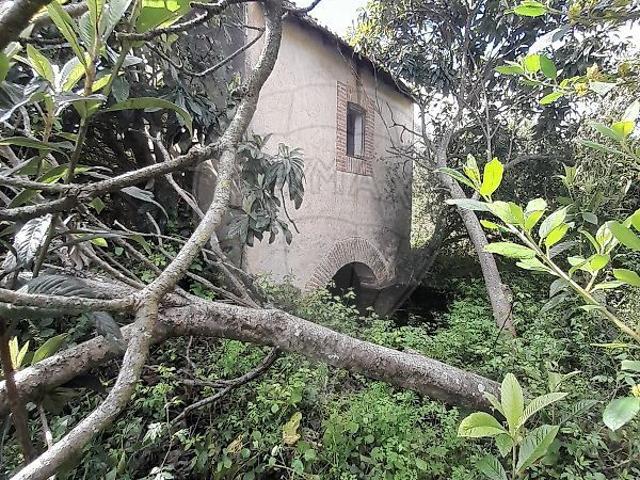 Terreno venda em Casével e Vaqueiros, Santarém