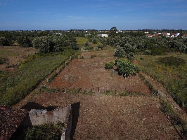 Terreno venda em Brogueira, Parceiros de Igreja e Alcorochel, Torres Novas
