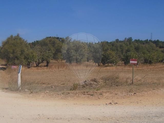 Terreno venda em Casével e Vaqueiros, Santarém