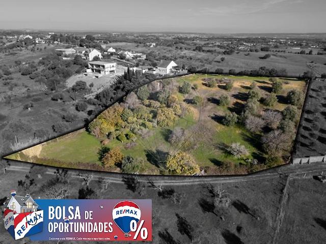 Terreno venda em Casével e Vaqueiros, Santarém