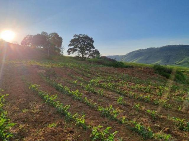 Terreno venda em Região Geográfica Imediata de Pouso Alegre, Bueno Brandão