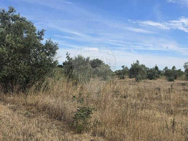 Terreno venda em Bugalhos, Alcanena
