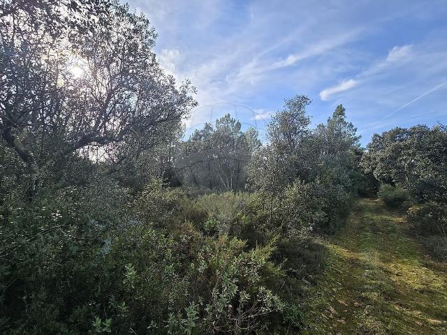 Terreno venda em Bugalhos, Alcanena
