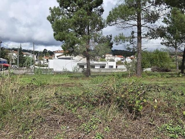 Terreno venda em Miranda Do Corvo, Coimbra