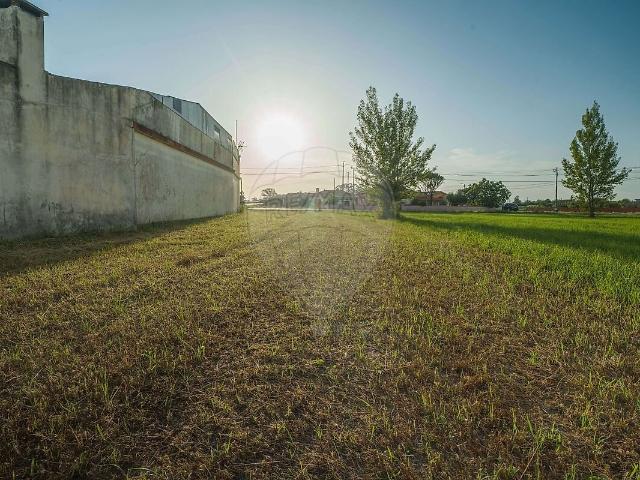 Terreno venda em Pardilhó, Bunheiro