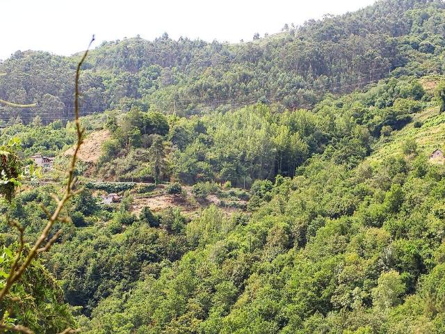 Terreno venda em Bustelo, Carneiro e Carvalho de Rei, Amarante