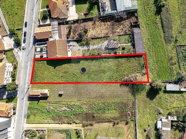 Terreno venda em Bustos, Troviscal e Mamarrosa, Oliveira do Bairro