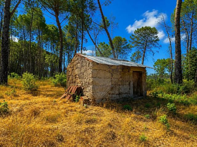 Terreno venda em Cabanas de Viriato, Carregal do Sal