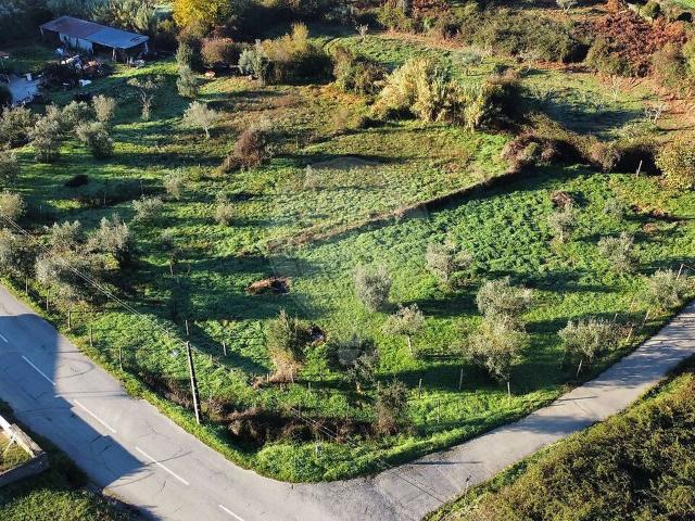 Terreno venda em Cabeçudo, Sertã