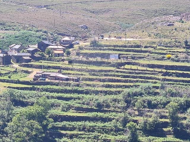 Terreno venda em Cabreiros e Albergaria da Serra, Arouca